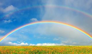 为什么雨后见彩虹 为什么雨后天上挂着彩虹答案