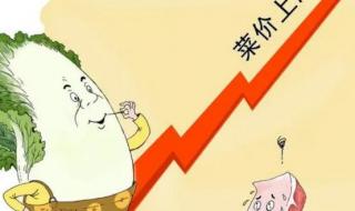 2023年春节猪肉价格