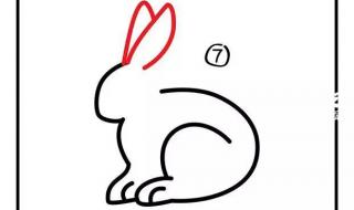新手画小白兔怎么画