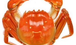 孕妇可以吃大闸蟹吗