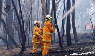 澳大利亚的火灾的原因
