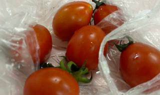 怎样吃西红柿减肥