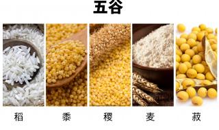 五谷稻麦黍菽稷的读音