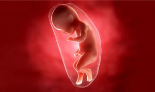 胎儿能做亲子鉴定吗