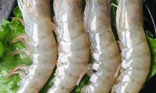 厄瓜多尔白虾有病毒吗