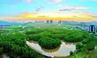 惠州大亚湾红树林公园