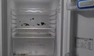 冰箱速冻结冰的解决方法