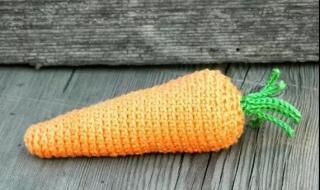 胡萝卜到底是不是蔬菜