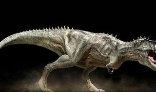 最早的恐龙化石距今多少年