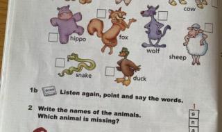 英语中表示动物的单词要大写吗